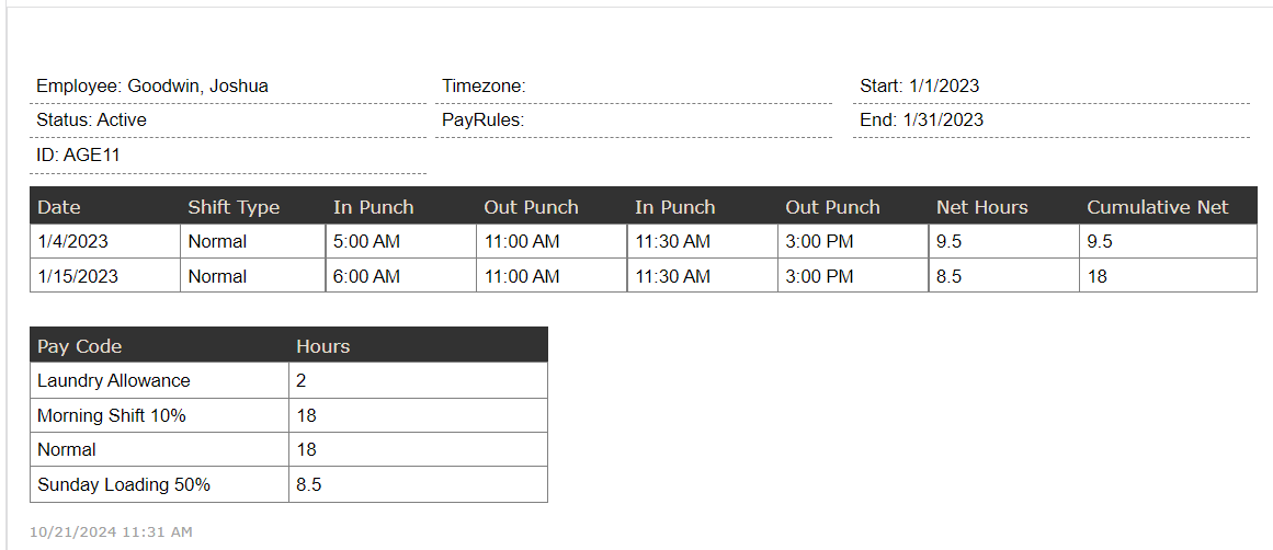 payroll_report_eg.png